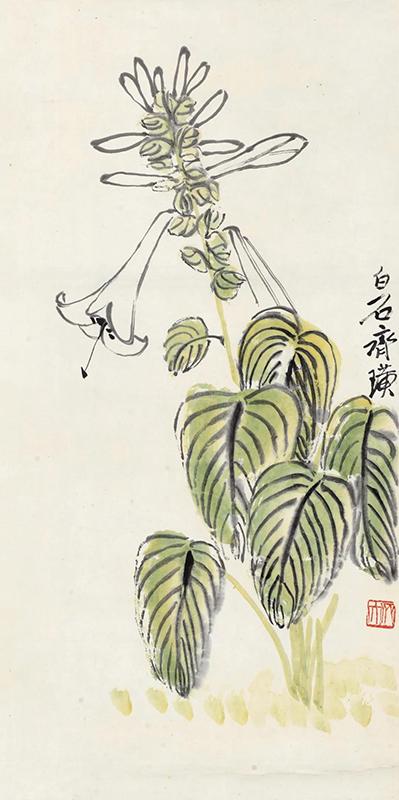 齐白石  玉簪花