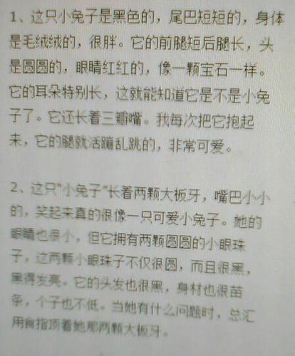 qq空间 举报收起  匿名用户   2014-09-27   展开全部 描写兔子外貌的