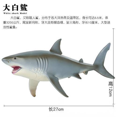 仿真海洋生物史前巨齿鲨模型动物大白鲨玩具双髻鲨锤头鲨儿童礼物