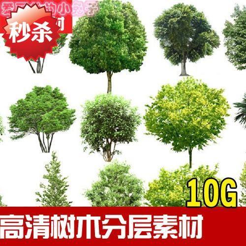m008园林景观设计树木植物近景高清绿化效果图ps设计素材
