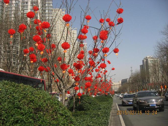 主题:[原创]大红灯笼高挂在树上