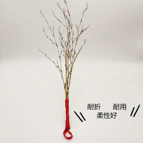 戒尺藤条教鞭教师专用家长家训家用家法教育竹枝条藤鞭 买一发二(竹鞭