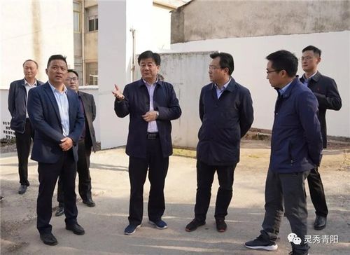 县委书记纪良才深入新河镇童埠新区调度推进宝武年产30万吨镁基轻合金
