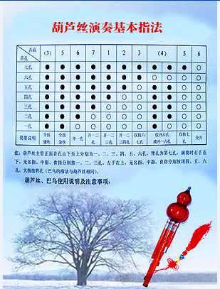 葫芦丝的音阶在哪里