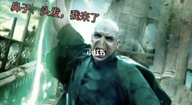 绝绝子_表情包_哈利波特_沙雕_裙子_面包_猫咪_哈利波特表情包_素材