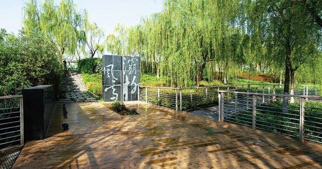 灞桥生态湿地公园