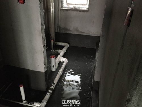 卫生间正在试水