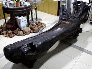 金丝楠木阴沉木私下交易最高价是多少