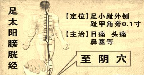 经络命名系列为什么叫足太阳膀胱经