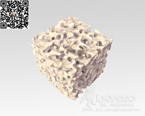 3d松质骨建模