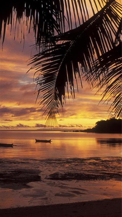 417_741 竖版 竖屏