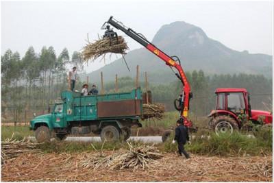 广西甘蔗榨季抓甘蔗机品牌如何选择
