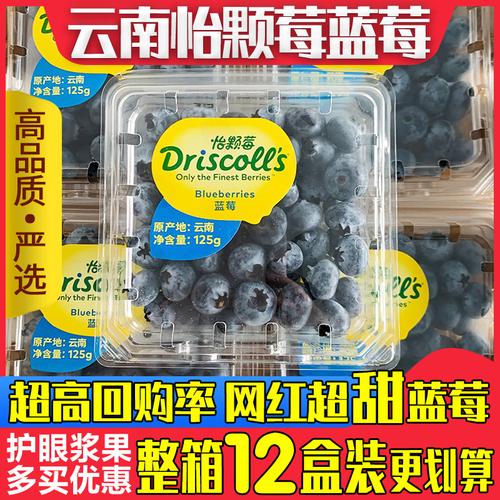 云南怡颗莓蓝莓driscolls蓝莓鲜果新鲜水果怡颗梅时令鲜蓝莓蓝梅