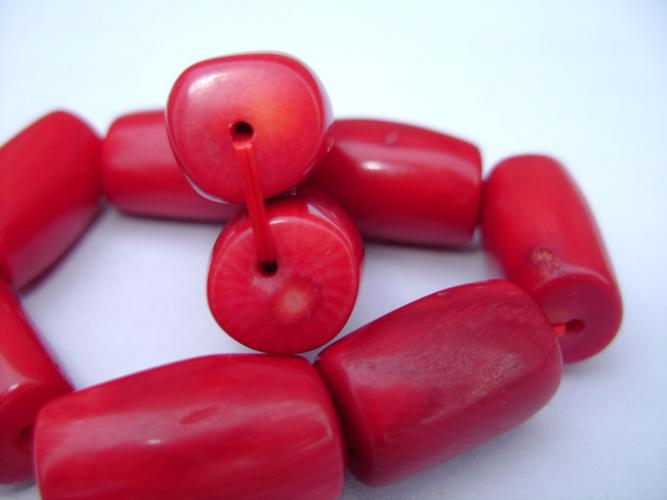 闪光灯我的照相水平有限整体就是这个样子,给个评价,到底是不是红珊瑚