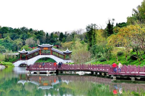 走进资阳凤岭公园
