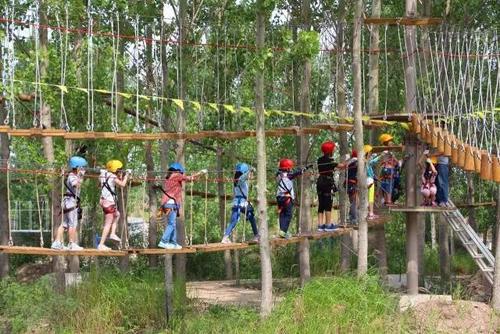6月18日童军会"丛林探险,勇攀高峰"一日活动召集