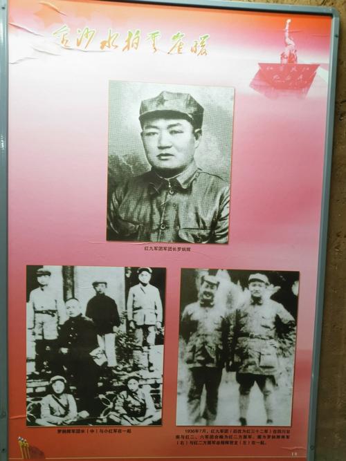 红九军团军团长罗炳辉,指挥红军顺利渡江.
