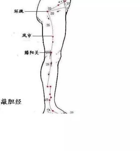 【市中医|科普月月讲】敲胆经,治未病(下)