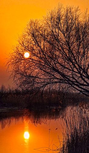 夕阳无限好,最美近黄昏