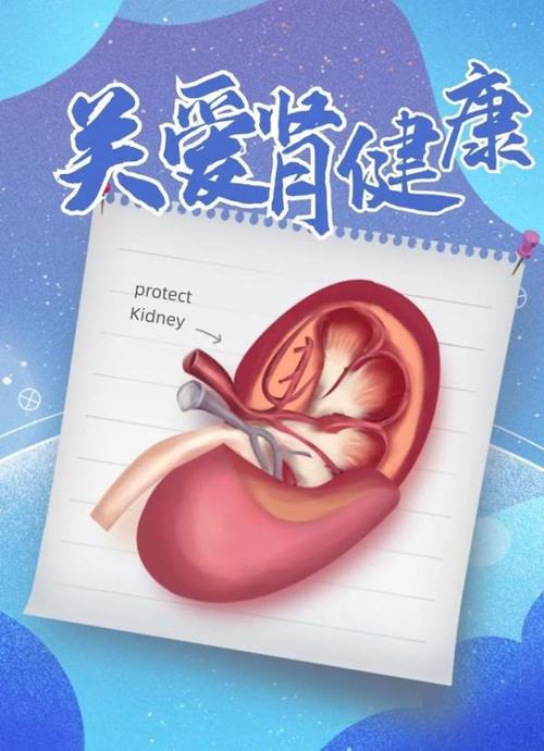 世界肾脏日:保护肾脏从身边小事做起