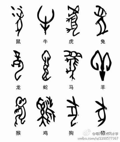 十二生肖的甲骨文