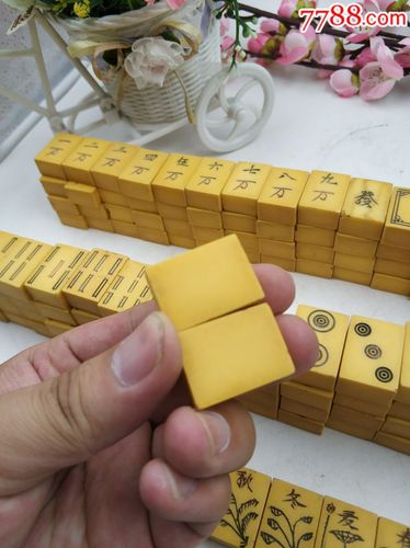 一套自制麻将