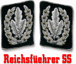 世界上最漂亮的军衔-德国国防军军衔肩章全集(非宣扬纳粹,组图