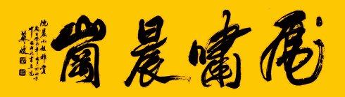 苏波先生为沈晨小姐(属虎,晨时出生)创作姓名专题书法