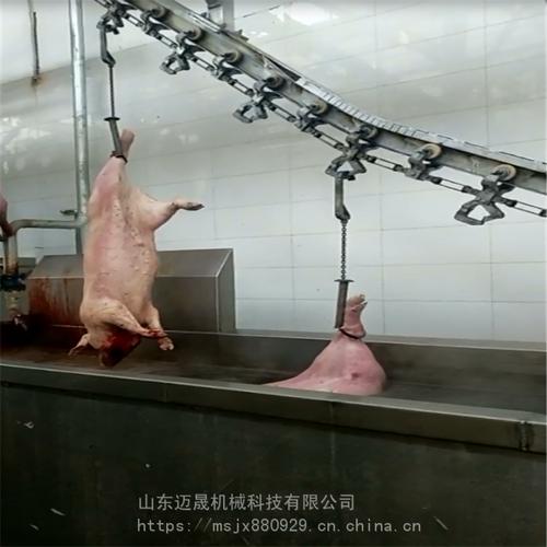 供应屠宰场杀猪烫猪专用运河烫 生猪烫毛设备运河烫