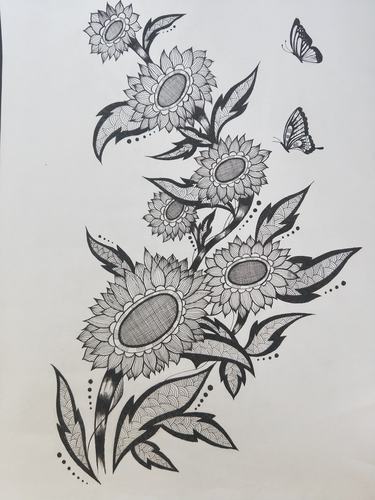 线绘黑白奥妙——锡林浩特市实验二校(4——6年级)优秀线描画作品展