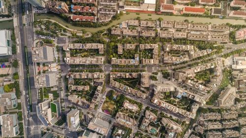 新闻详情 一个"有味儿"的街区 大学路,上海"最美的12条街道"之一.