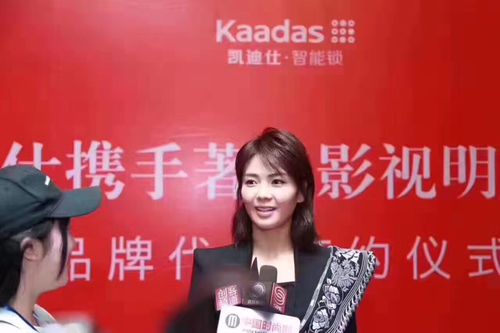 仕·指纹锁》源自德国的智能门控专家       kaddas刘涛品牌形象代言