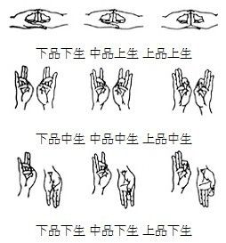 关于佛教手印的一个问题.