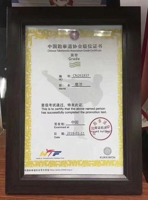 获得跆拳道黑带