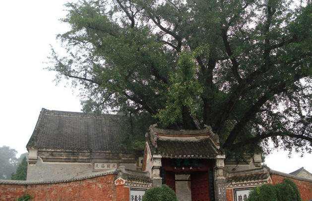 河南南阳淅川风景名胜