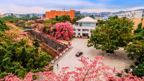 【广州大学华软软件学院专业】广州大学华软软件学院招生网站-广州