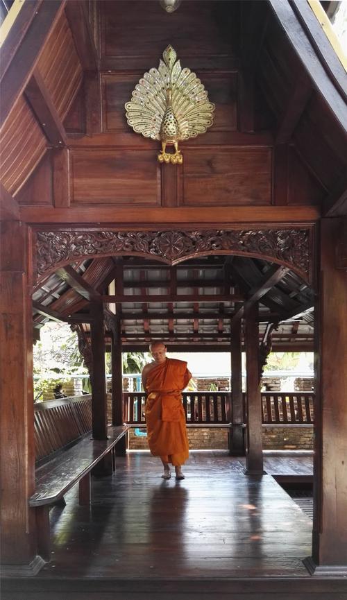 [转载]南传禅修日记之六6868南山流茶道·南传毗婆舍那禅法