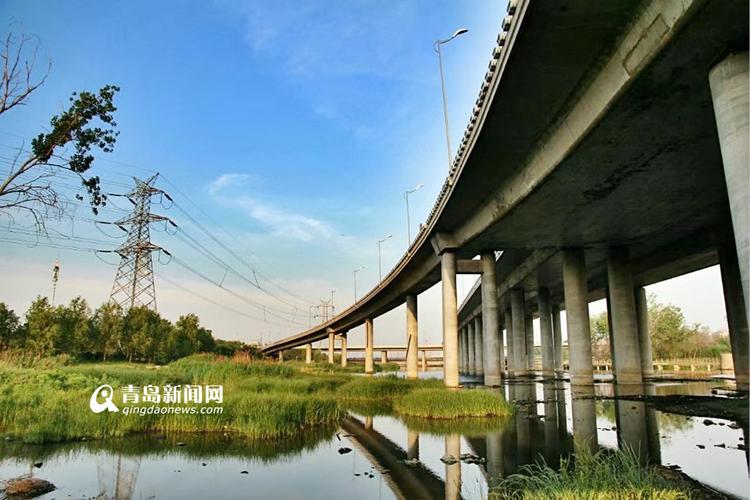 青岛李沧区有很多景色极佳的观景区,世博园,十梅庵,竹子庵等都一一在