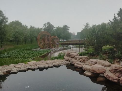 林州人民公园,是个跑步不错的地方