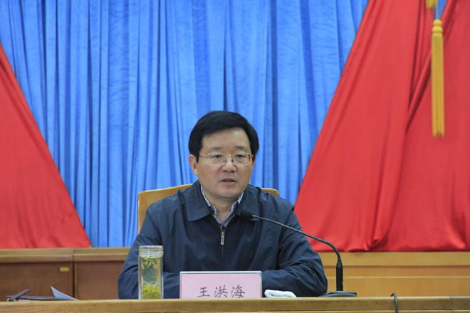 王洪海[天津市宁河区委书记]
