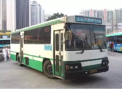 深圳这些老公交车你认识几个?