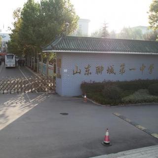 聊城一中93届同学群感言