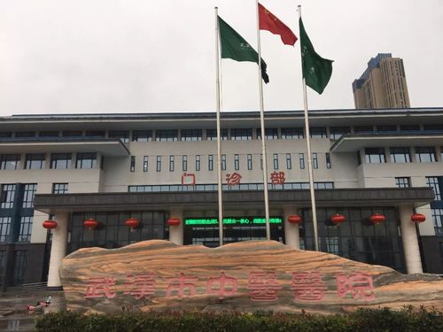 武汉市中医医院正门预计一周之内,还会有20多名患者经中西医结合治疗