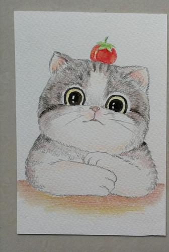 大家能帮忙看一下我画的哪个送人比较好哈?