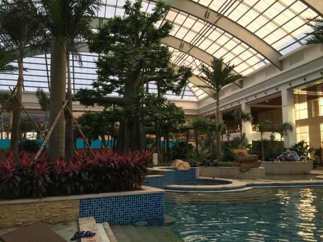 长春国信南山温泉酒店点评