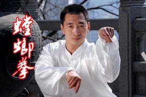 螳螂拳|4|36