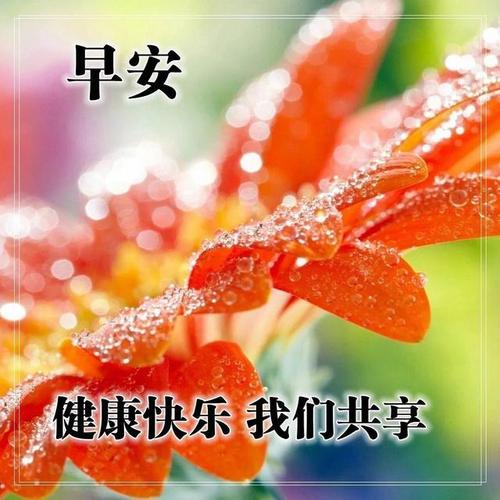 调整心态的正能量经典句子,清晨暖心早上好问候祝福图片