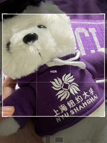 我们学校的吉祥物～_上海纽约大学自由行热门攻略_纽约_生活记录_校园