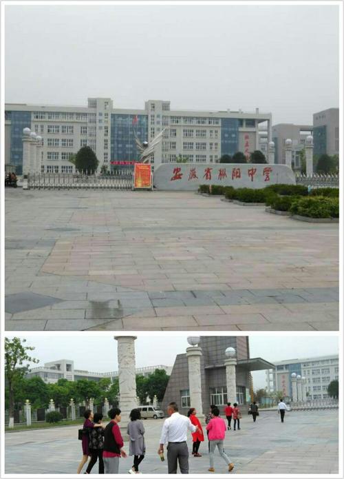 新枞阳中学