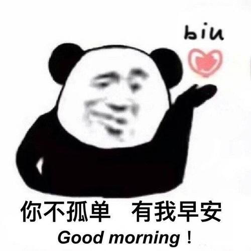 求说早上好的表情包